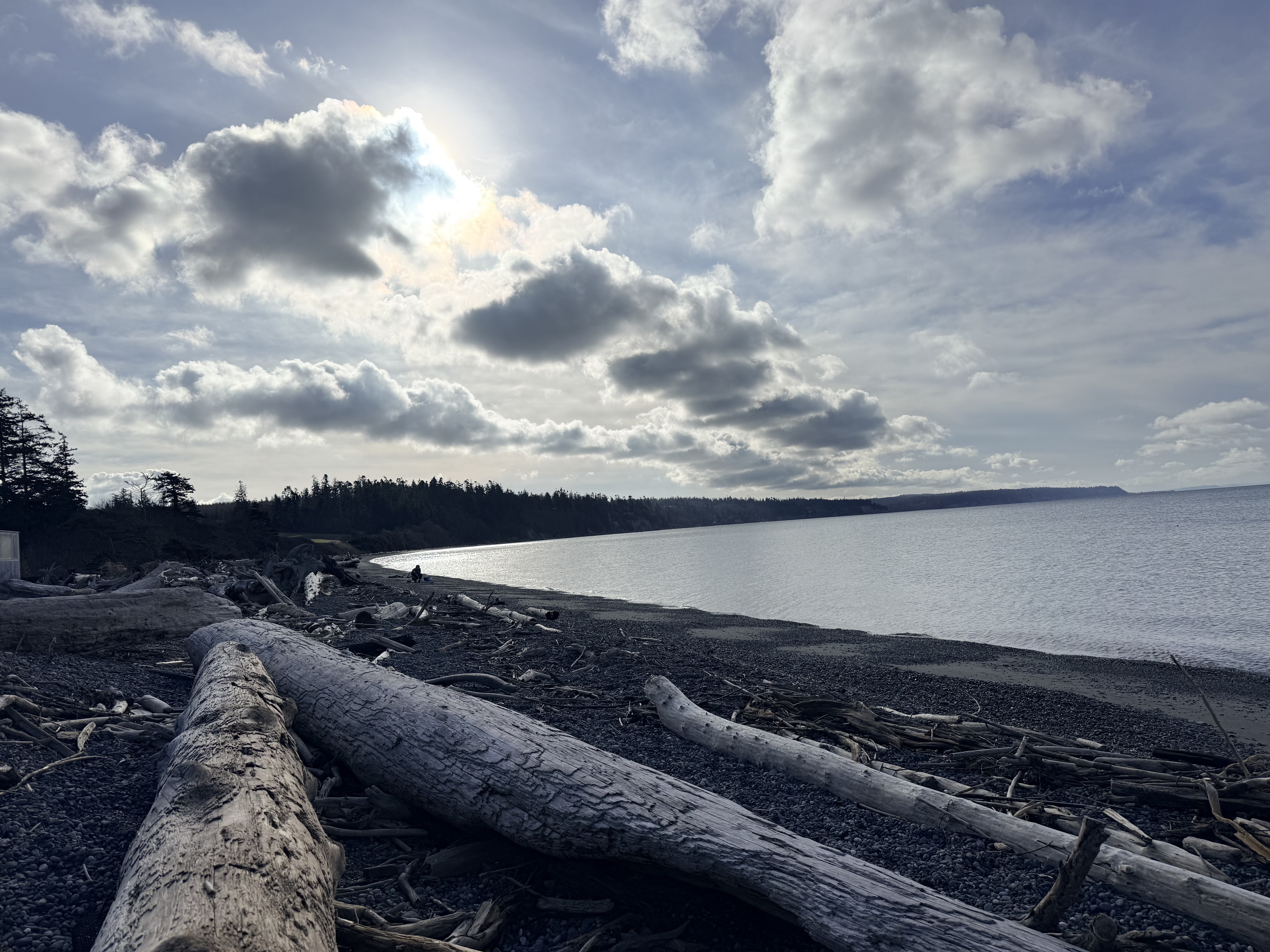 Calm coastal landscape